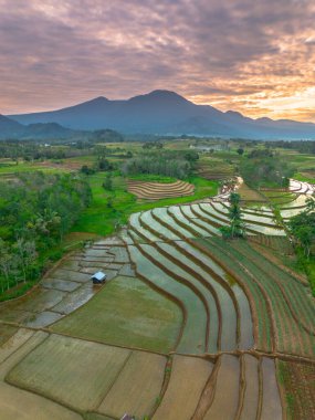 Beautiful morning view indonesia panorama landscape paddy fields with beauty color and sky natural light