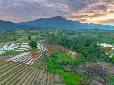 Beautiful morning view indonesia panorama landscape paddy fields with beauty color and sky natural light