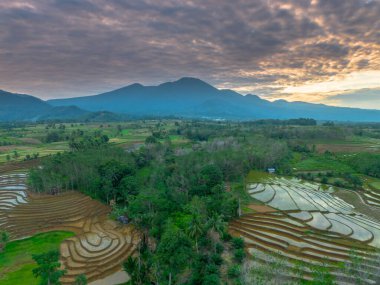Beautiful morning view indonesia panorama landscape paddy fields with beauty color and sky natural light