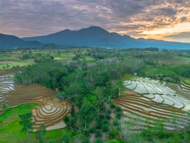 Beautiful morning view indonesia panorama landscape paddy fields with beauty color and sky natural light