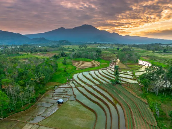 Beautiful morning view indonesia panorama landscape paddy fields with beauty color and sky natural light