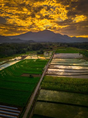 Beautiful morning view indonesia panorama landscape paddy fields with beauty color and sky natural light