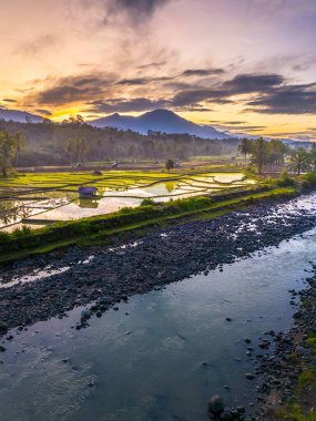 Beautiful morning view indonesia panorama landscape paddy fields with beauty color and sky natural light