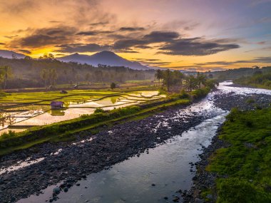 Beautiful morning view indonesia panorama landscape paddy fields with beauty color and sky natural light