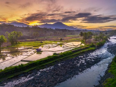 Beautiful morning view indonesia panorama landscape paddy fields with beauty color and sky natural light