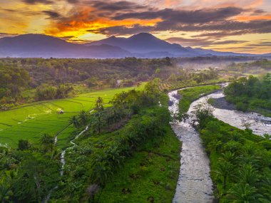 Beautiful morning view indonesia panorama landscape paddy fields with beauty color and sky natural light