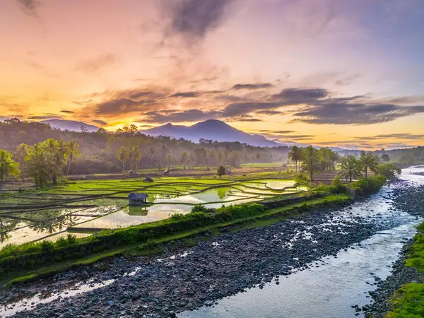 Beautiful morning view indonesia panorama landscape paddy fields with beauty color and sky natural light