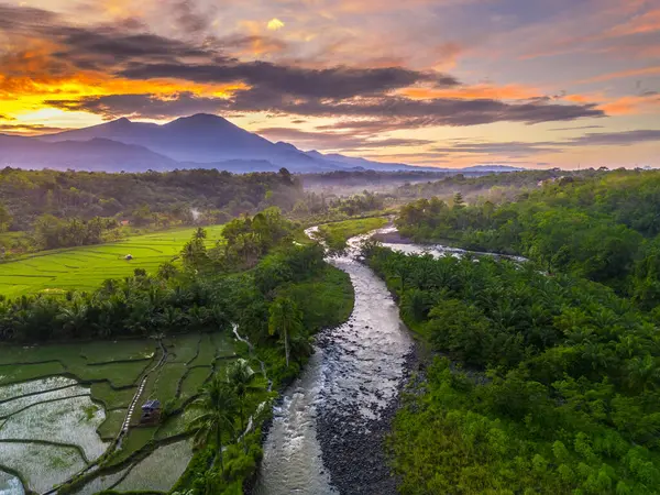 Beautiful morning view indonesia panorama landscape paddy fields with beauty color and sky natural light
