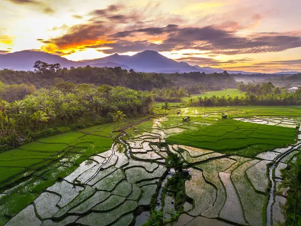 Beautiful morning view indonesia panorama landscape paddy fields with beauty color and sky natural light