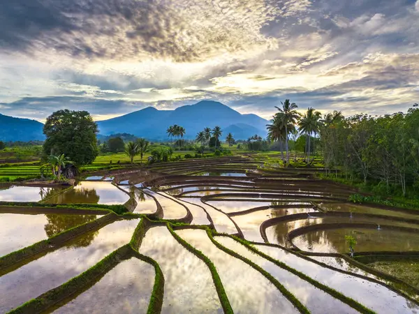 Beautiful morning view indonesia panorama landscape paddy fields with beauty color and sky natural light