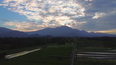Beautiful morning view indonesia panorama landscape paddy fields with beauty color and sky natural light