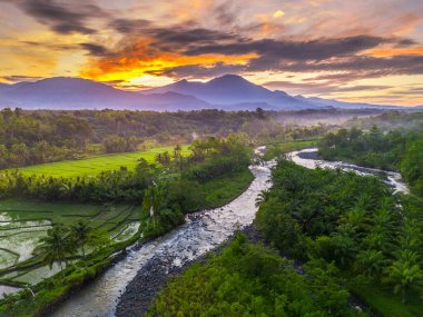 Beautiful morning view indonesia panorama landscape paddy fields with beauty color and sky natural light