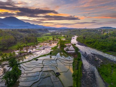 Beautiful morning view indonesia panorama landscape paddy fields with beauty color and sky natural light