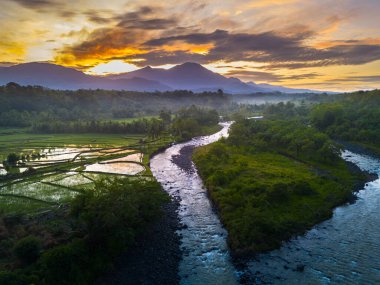 Beautiful morning view indonesia panorama landscape paddy fields with beauty color and sky natural light