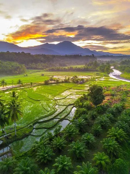 Beautiful morning view indonesia panorama landscape paddy fields with beauty color and sky natural light