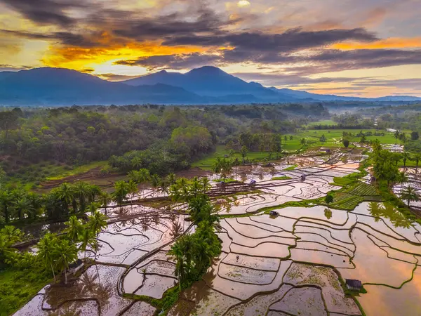 Beautiful morning view indonesia panorama landscape paddy fields with beauty color and sky natural light