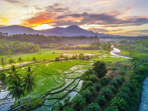 Beautiful morning view indonesia panorama landscape paddy fields with beauty color and sky natural light
