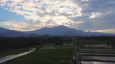 Beautiful morning view indonesia panorama landscape paddy fields with beauty color and sky natural light