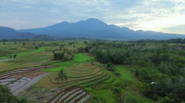Beautiful morning view indonesia panorama landscape paddy fields with beauty color and sky natural light