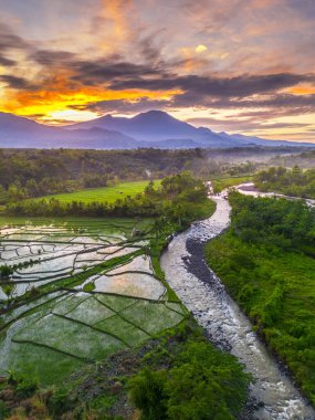 Beautiful morning view indonesia panorama landscape paddy fields with beauty color and sky natural light