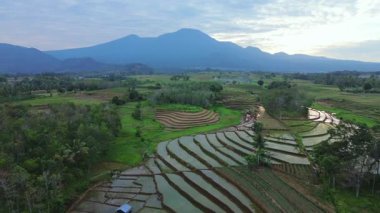 Beautiful morning view indonesia panorama landscape paddy fields with beauty color and sky natural light