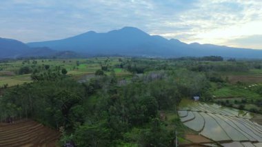 Beautiful morning view indonesia panorama landscape paddy fields with beauty color and sky natural light