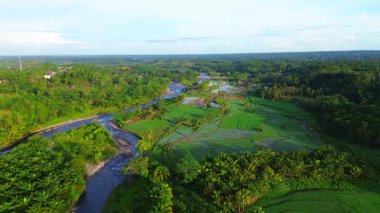 Beautiful morning view indonesia panorama landscape paddy fields with beauty color and sky natural light
