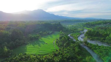 Beautiful morning view indonesia panorama landscape paddy fields with beauty color and sky natural light
