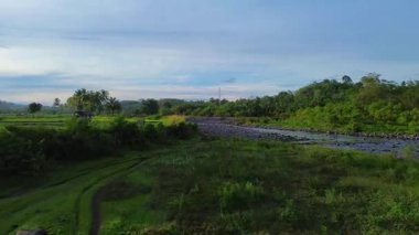 Beautiful morning view indonesia panorama landscape paddy fields with beauty color and sky natural light