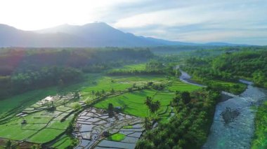 Beautiful morning view indonesia panorama landscape paddy fields with beauty color and sky natural light