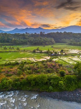 Beautiful morning view indonesia panorama landscape paddy fields with beauty color and sky natural light