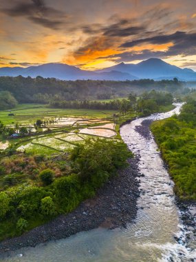 Beautiful morning view indonesia panorama landscape paddy fields with beauty color and sky natural light