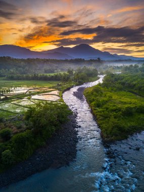 Beautiful morning view indonesia panorama landscape paddy fields with beauty color and sky natural light