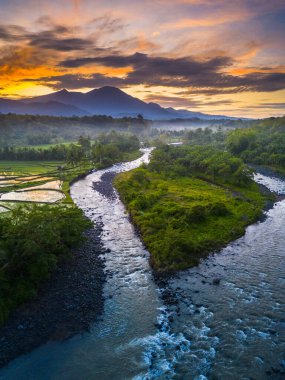 Beautiful morning view indonesia panorama landscape paddy fields with beauty color and sky natural light