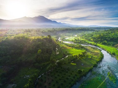 Beautiful morning view indonesia panorama landscape paddy fields with beauty color and sky natural light