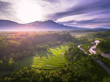 Beautiful morning view indonesia panorama landscape paddy fields with beauty color and sky natural light