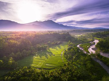 Beautiful morning view indonesia panorama landscape paddy fields with beauty color and sky natural light