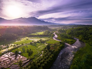 Beautiful morning view indonesia panorama landscape paddy fields with beauty color and sky natural light