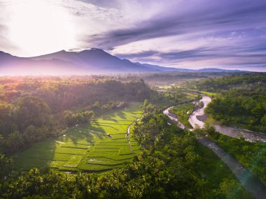 Beautiful morning view indonesia panorama landscape paddy fields with beauty color and sky natural light
