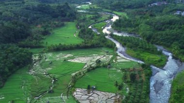 Beautiful morning view indonesia panorama landscape paddy fields with beauty color and sky natural light