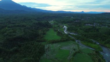Beautiful morning view indonesia panorama landscape paddy fields with beauty color and sky natural light