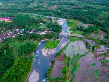 Beautiful morning view indonesia panorama landscape paddy fields with beauty color and sky natural light