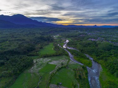 Beautiful morning view indonesia panorama landscape paddy fields with beauty color and sky natural light