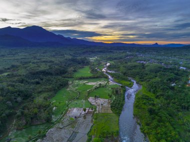 Beautiful morning view indonesia panorama landscape paddy fields with beauty color and sky natural light