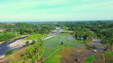 Beautiful morning view indonesia panorama landscape paddy fields with beauty color and sky natural light