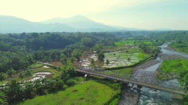 Beautiful morning view indonesia panorama landscape paddy fields with beauty color and sky natural light