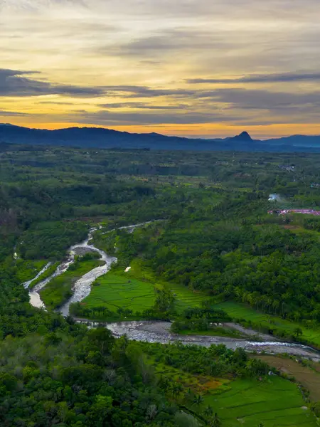 Beautiful morning view indonesia panorama landscape paddy fields with beauty color and sky natural light