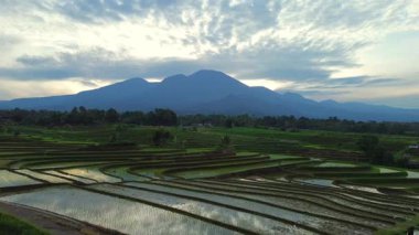 Beautiful morning view indonesia panorama landscape paddy fields with beauty color and sky natural light