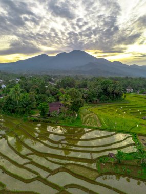 Beautiful morning view indonesia panorama landscape paddy fields with beauty color and sky natural light