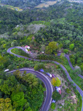 Endonezya 'nın güzelliği, gün batımında mangrov ormanları ve plajları.